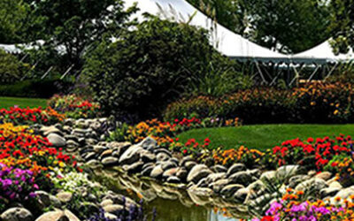 The Quintessential Event of the Human Race